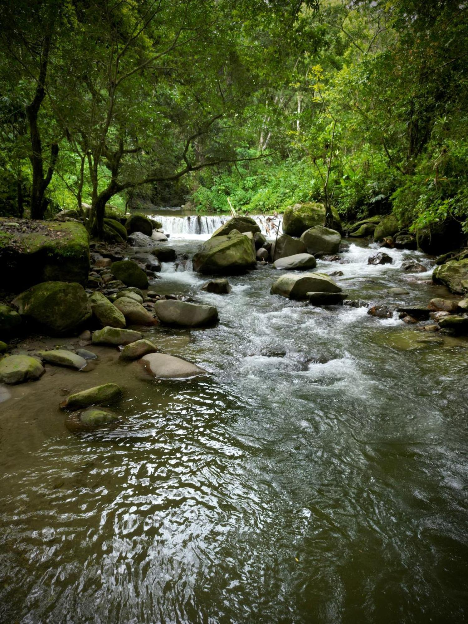 Las Cabanas Del Rio Minca Luaran gambar